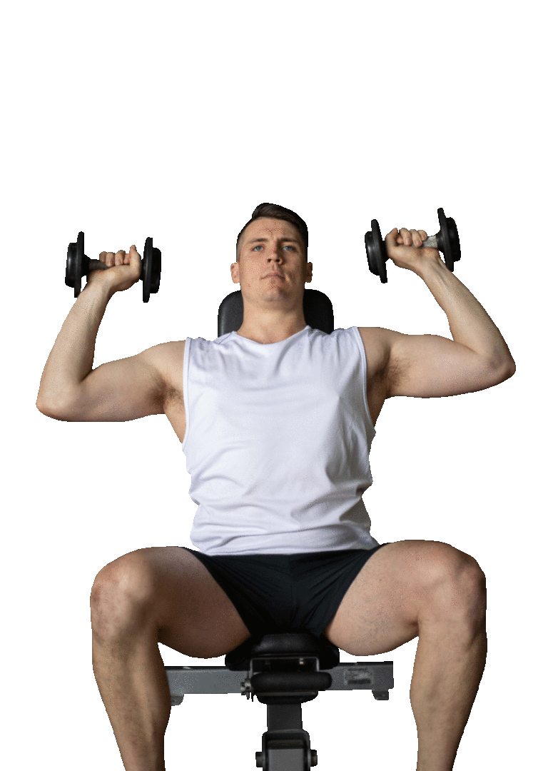 seated-dumbbell-shoulder-press-rapid-loss-program