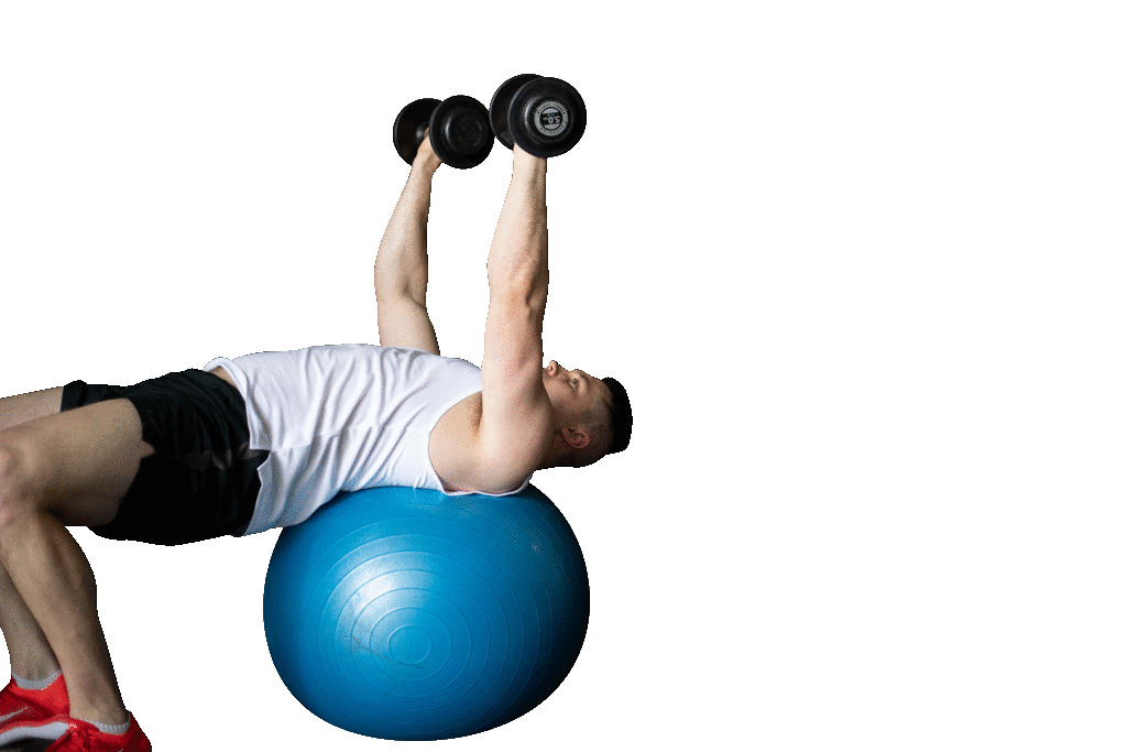 Stability Ball Chest Press 